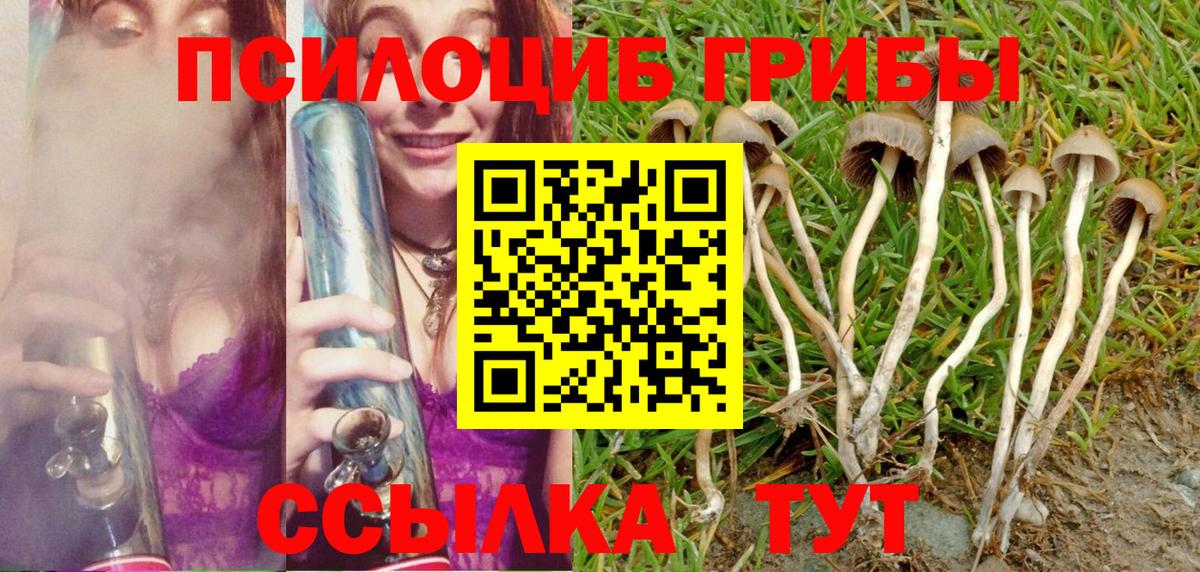 Галлюциногенные грибы Psilocybe Магнитогорск